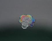 P2181489