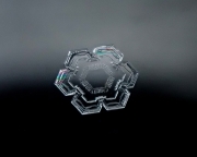 P1210103