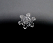 P2010170