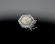 P2010314