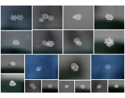 snowflake-collage-2