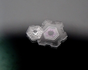 P2020341
