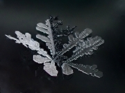 P4030076