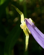 P1450225