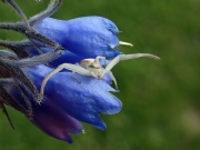 P5300499