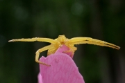P6100261