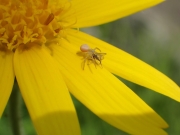 P6120216