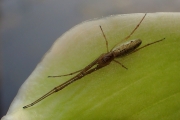 P6120343