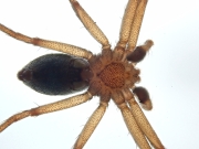P6200810