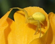 P6271032
