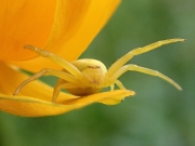 P7021844