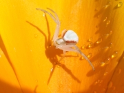 P7123240