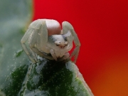 P8230493