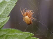 P9101061