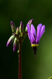 DSC0830v2